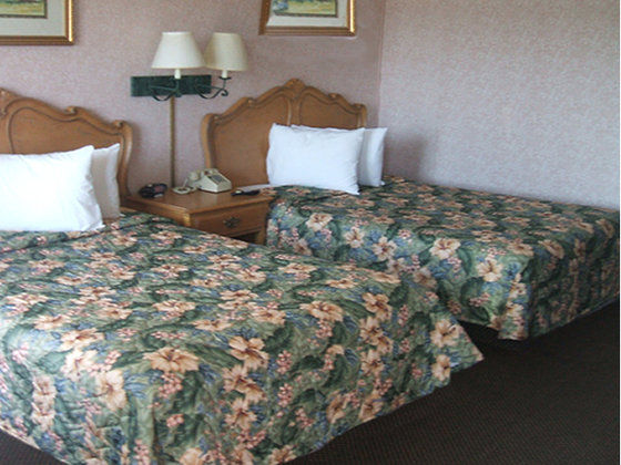 Motel 6 Burlington Rom bilde